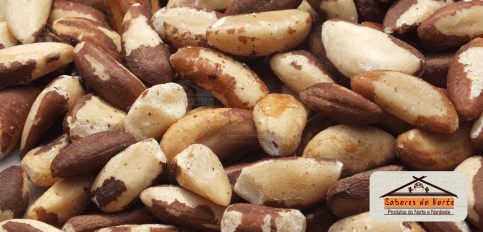 castanha-do-para