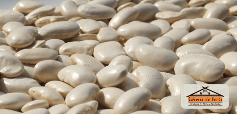 fava-argentina