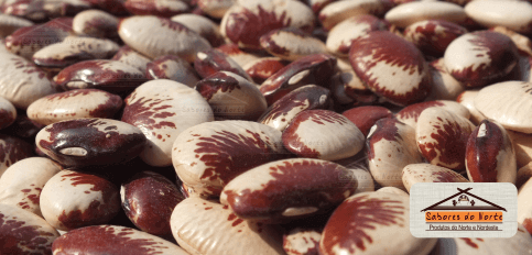 fava-raio-de-sol